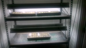 WP_20150407_21_18_35_Pro