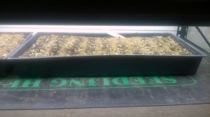 WP_20150407_21_18_54_Pro