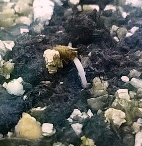 WP_20150407_21_28_10_Pro