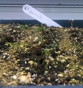 WP_20150408_18_46_04_Pro