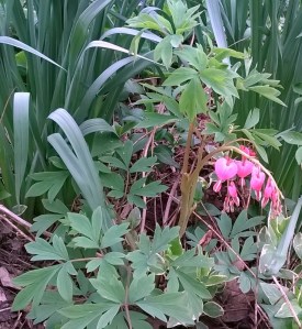 WP_20150411_09_58_58_Pro