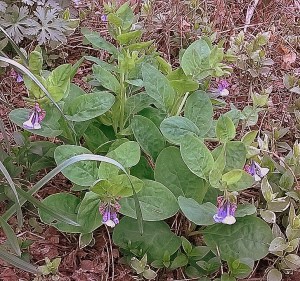 WP_20150411_09_59_21_Pro