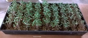 WP_20150413_12_06_49_Pro