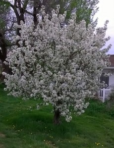 WP_20150413_14_56_24_Pro