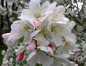 WP_20150413_14_57_21_Pro