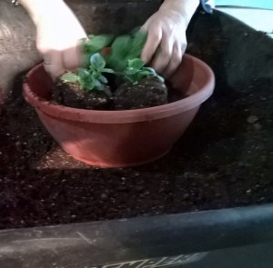 WP_20150413_18_29_30_Pro