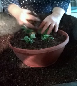 WP_20150413_18_29_58_Pro