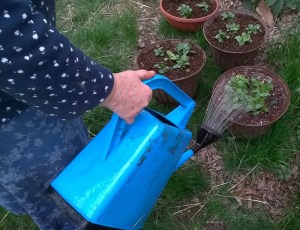 WP_20150413_18_45_28_Pro