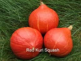 red kuri