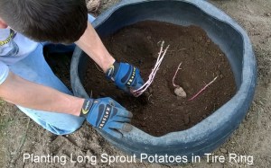 WP_20150425_10_01_11_Pro