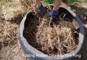 WP_20150425_10_02_17_Pro