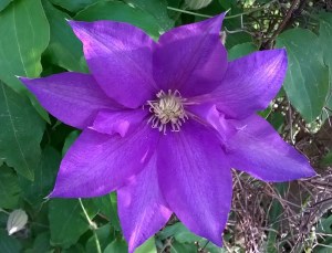 WP_20150507_07_35_44_Pro