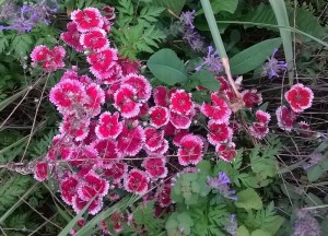 WP_20150510_19_27_10_Pro