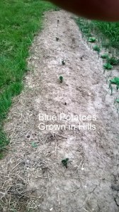 WP_20150513_19_41_13_Pro