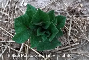 WP_20150513_19_41_36_Pro