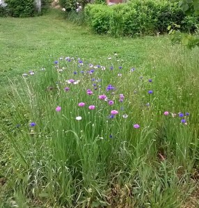 WP_20150516_12_41_15_Pro