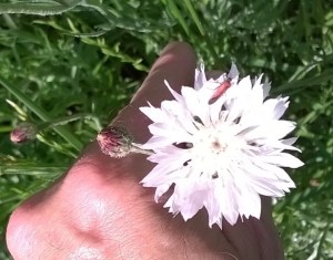 WP_20150516_16_12_22_Pro