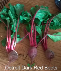 WP_20150518_18_51_58_Pro