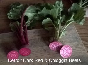 WP_20150518_20_10_35_Pro