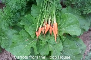 WP_20150520_18_43_22_Pro