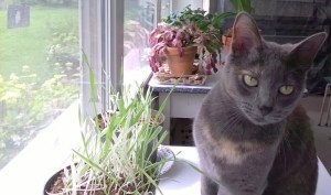 WP_20150525_10_27_36_Pro