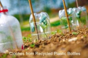 plastic-bottle-cloches