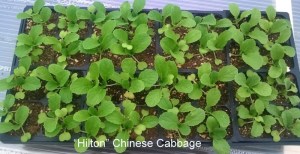 WP_20150408_18_52_03_Pro