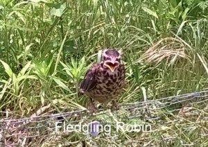 WP_20150525_13_03_36_Pro