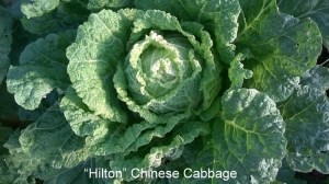 WP_20150612_18_29_28_Pro