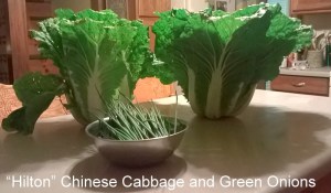 WP_20150617_20_07_35_Pro