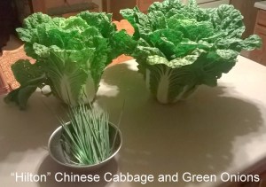 WP_20150617_20_07_59_Pro