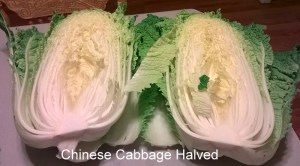 WP_20150617_20_42_02_Pro