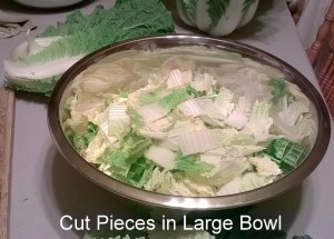 WP_20150617_20_50_48_Pro