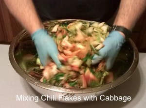 WP_20150618_07_05_16_Pro