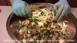 WP_20150618_07_15_39_Pro