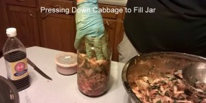 WP_20150618_07_18_52_Pro