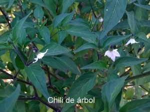 WP_20150825_18_48_57_Pro