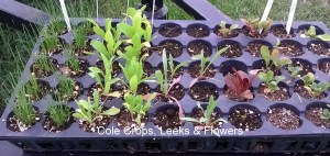 WP_20150828_18_33_35_Pro