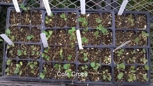 WP_20150828_18_34_34_Pro