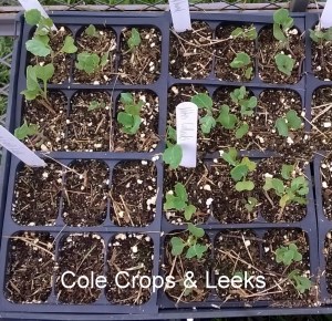 WP_20150828_18_35_16_Pro