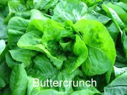 buttercrunch