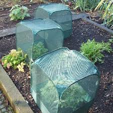 Garden cages3
