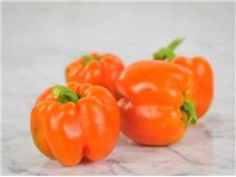 Pepper-Etiuda-PP192-web