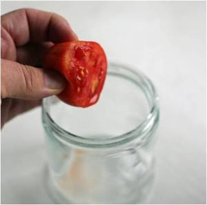 Tomato seed saving2
