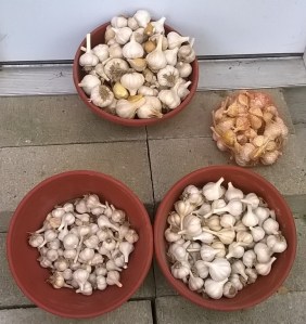 WP_20150905_18_33_39_Pro-001