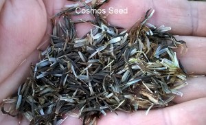 WP_20150930_18_47_58_Pro-001