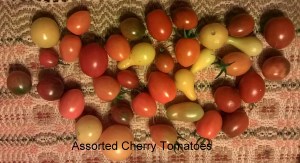 WP_20150930_19_07_54_Pro-001