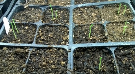 WP_20160106_18_47_46_Pro