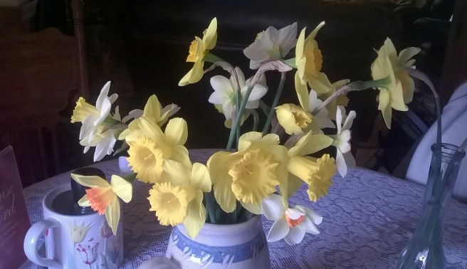 WP_20190403_12_04_48_Pro