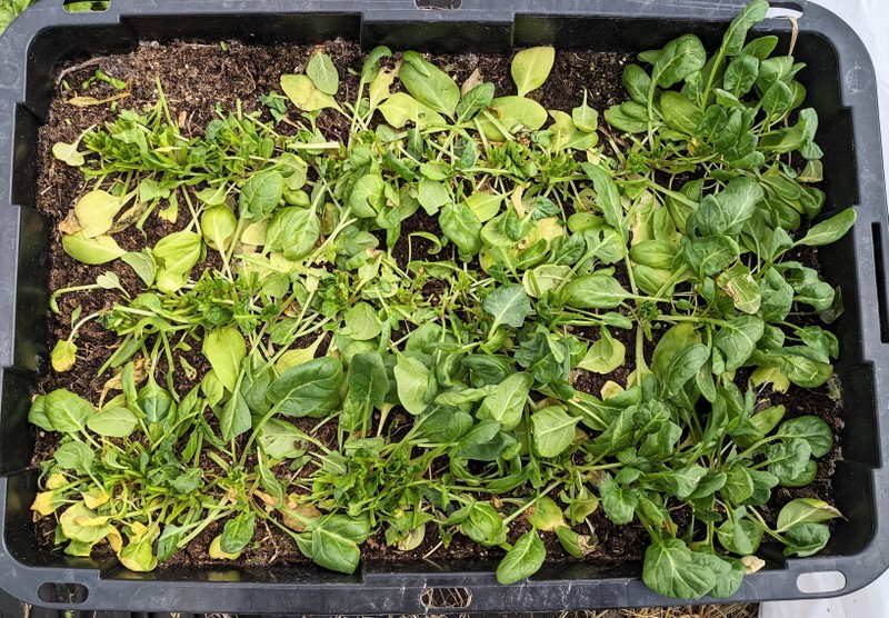 1-PXL_20240222_181801953~2